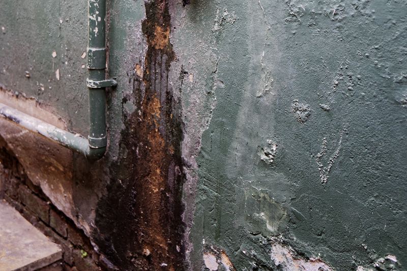 Masonry wall with flaking render and paint caused by damp